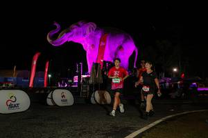 BIB: 
                            <button type="button" onclick="openModal(26534375)" class="btn btn-primary btn-sm float-right btn-popup" data-toggle="modal" data-target=".modal-high-quality">
                        <i class="fas fa-shopping-cart"></i> Add to Cart
                    </button>
                                            <button type="button" onclick="isThisMe(26534375, true)" class="btn btn-success btn-sm float-right btn-popup btn-isme hidden" data-toggle="tooltip" data-placement="bottom" title="นี่คือรูปของคุณใช่ไหม คลิกที่นี่เพื่อเอาเข้าอัลบั้ม">
                        <i class="fas fa-plus"></i> Add to album
                    </button>
                    <button type="button" onclick="isThisMe(26534375, false)" class="btn btn-warning btn-sm float-right btn-popup btn-isnotme hidden">
                        <i class="fas fa-ban"></i> Remove from album
                    </button>